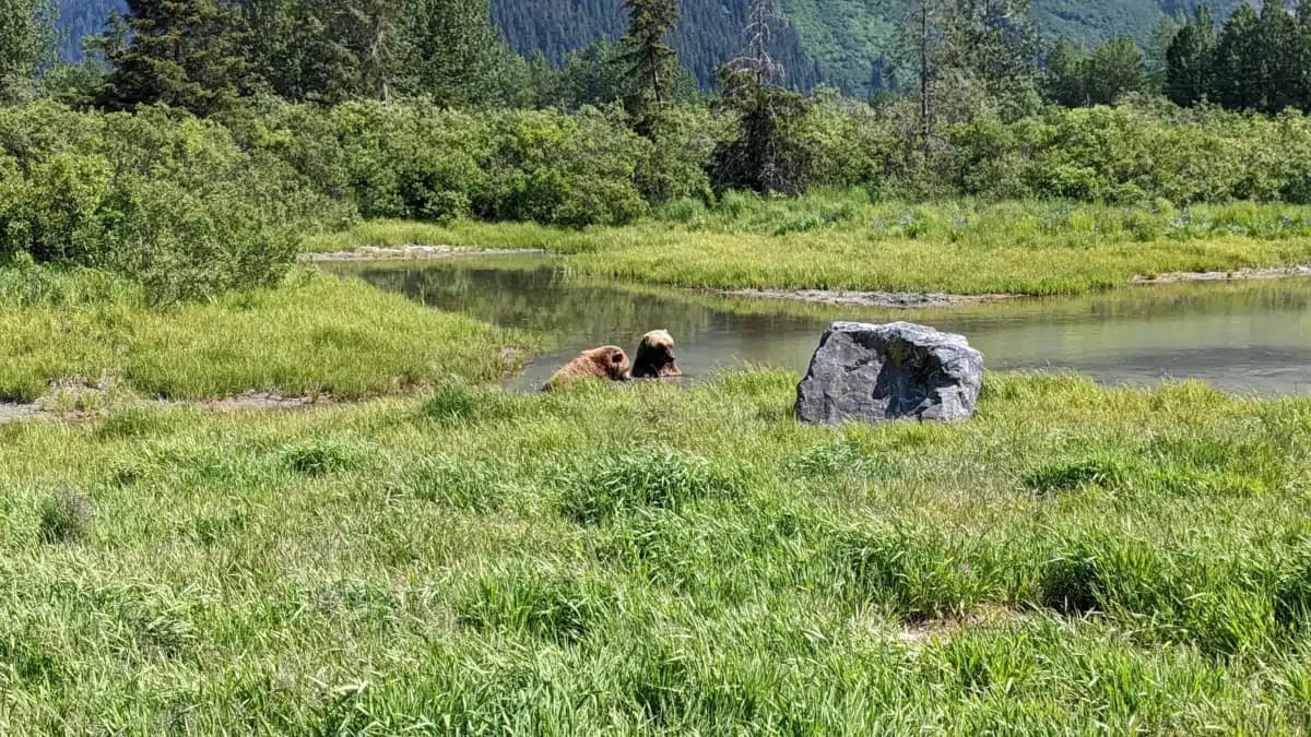 Cook Inlet Tribal Council Inc - treatment center
