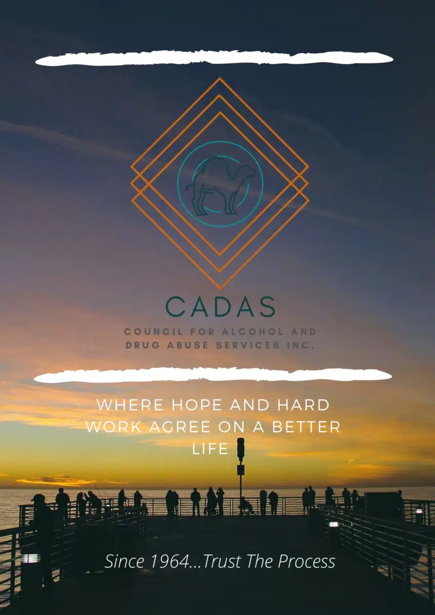 Council for Alcohol/DA Servs Inc